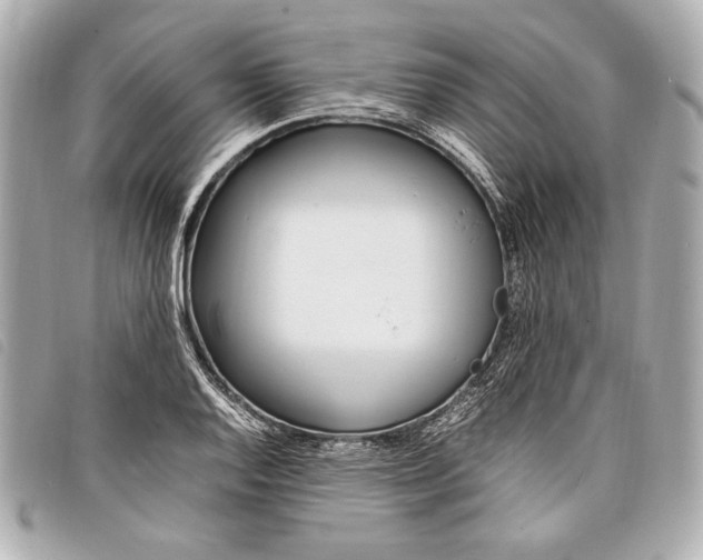 X0000098101128200804181417