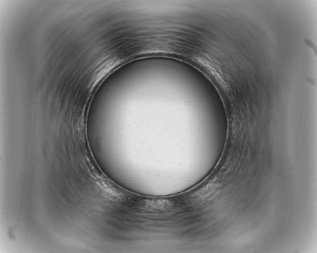 X0000098101129200804181417
