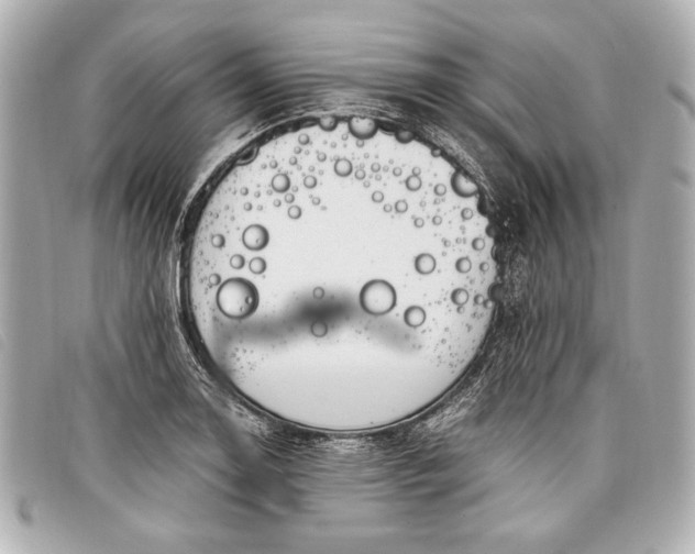 X0000098101130200804181417
