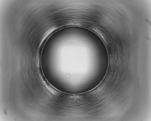 X0000098101131200804181417