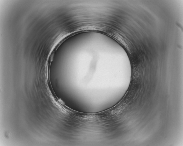 X0000098101132200804181417
