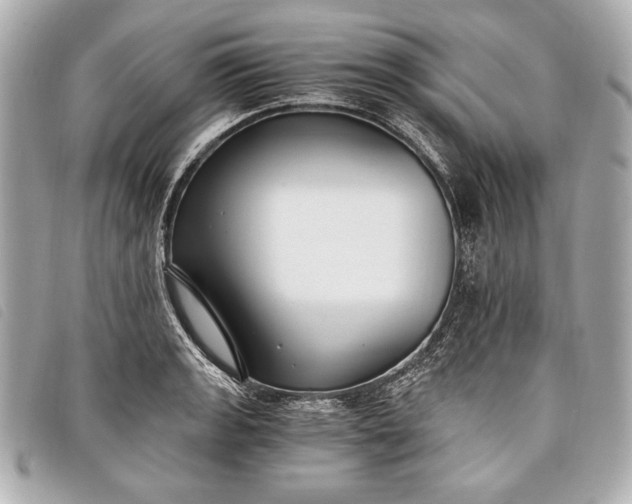 X0000098101133200804181417