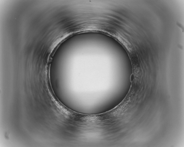X0000098101134200804181417