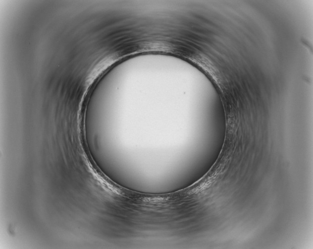 X0000098101135200804181417