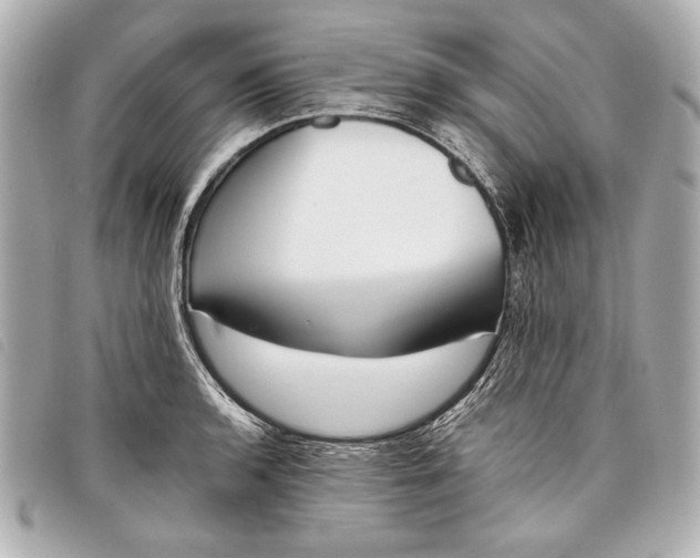 X0000098101136200804181417