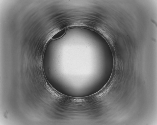 X0000098101137200804181418