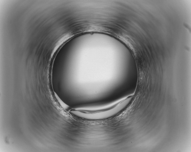 X0000098101138200804181418
