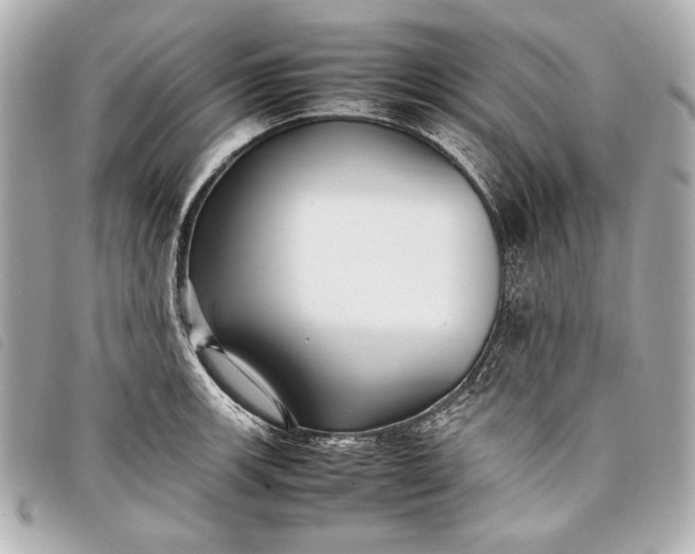 X0000098101139200804181418