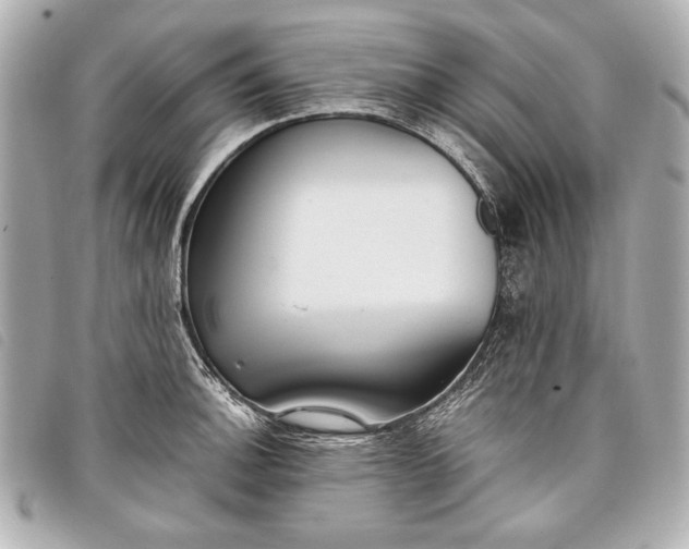 X0000098101140200804181418