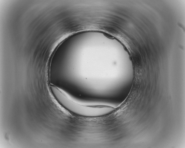 X0000098101142200804181418