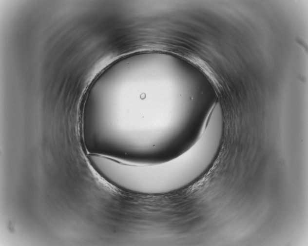 X0000098101143200804181418