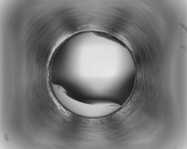X0000098101144200804181418