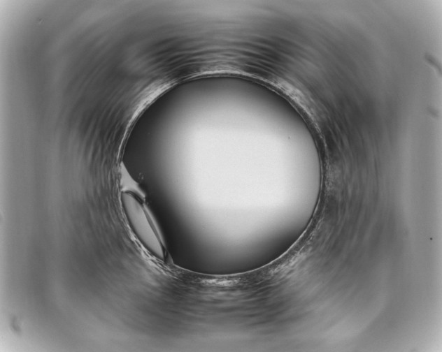 X0000098101145200804181418