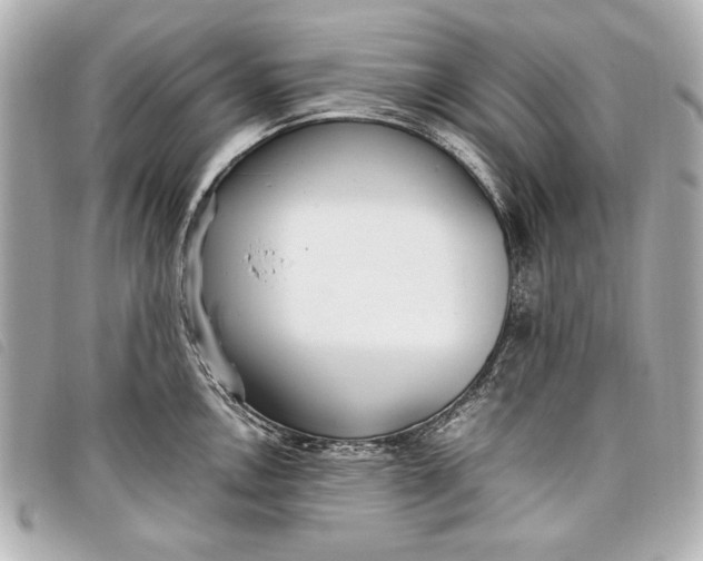 X0000098101146200804181418