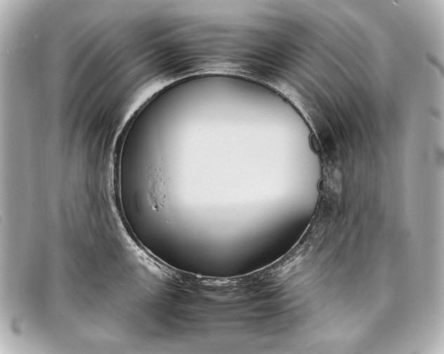 X0000098101147200804181418