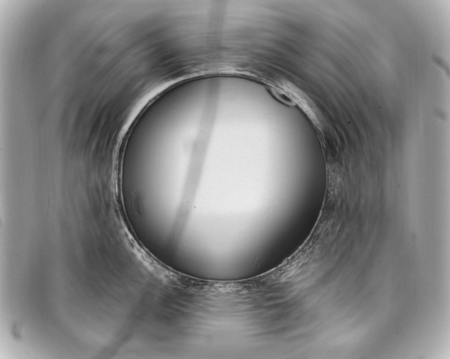 X0000098101148200804181418