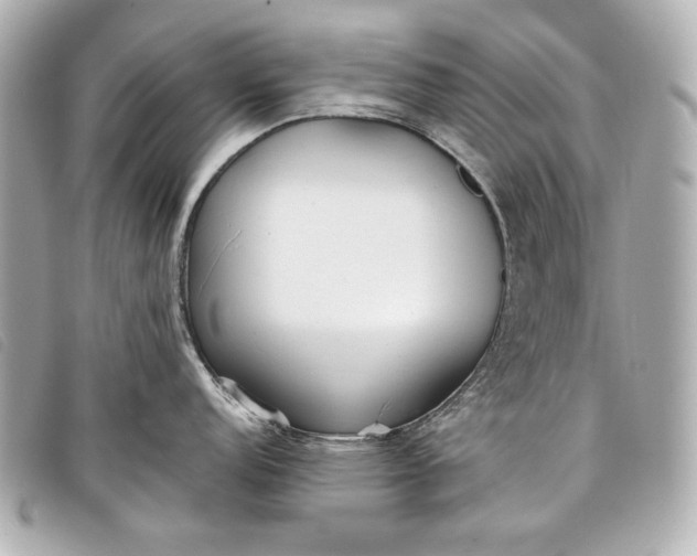 X0000098101152200804181418