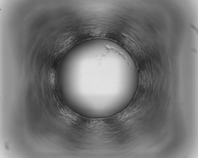 X0000098101154200804181417