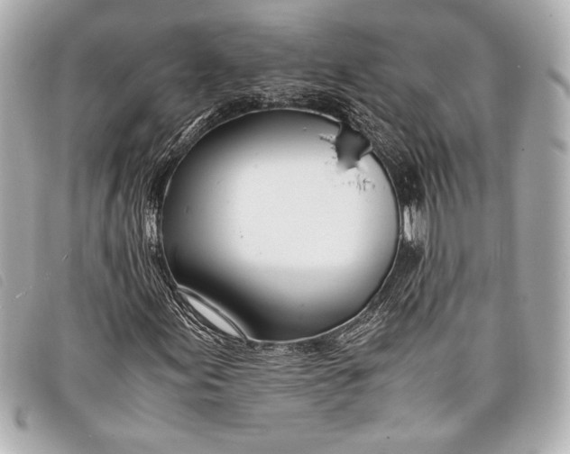 X0000098101155200804181417