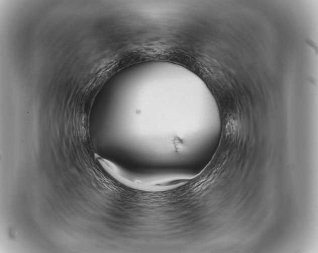 X0000098101156200804181417
