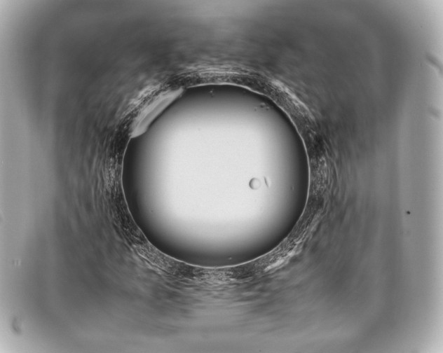X0000098101157200804181417