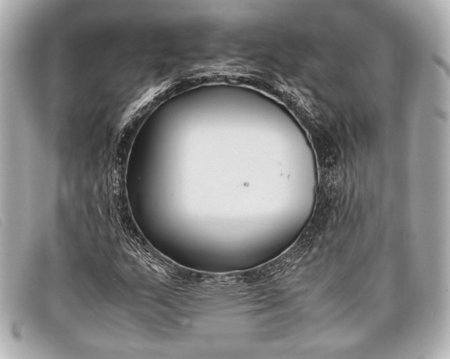 X0000098101159200804181417