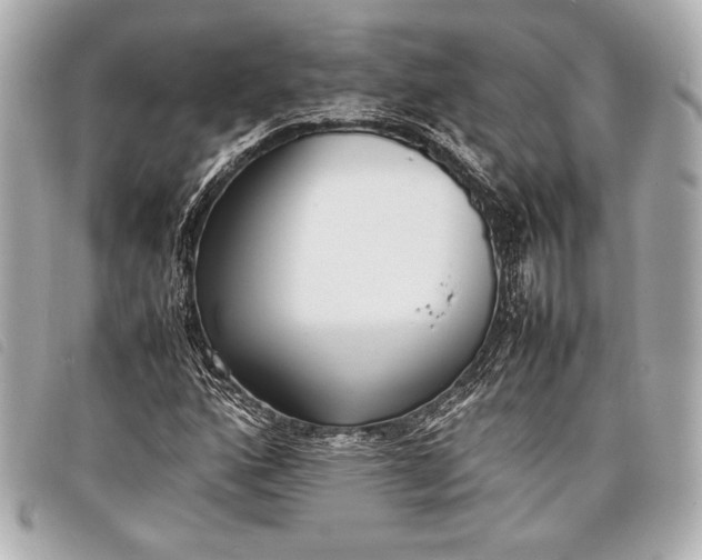 X0000098101160200804181417