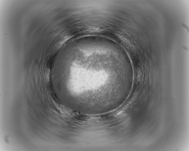 X0000098101161200804181417