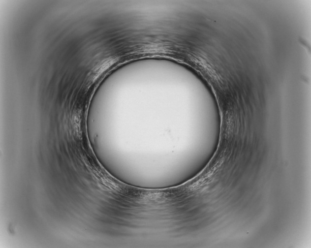 X0000098101162200804181417