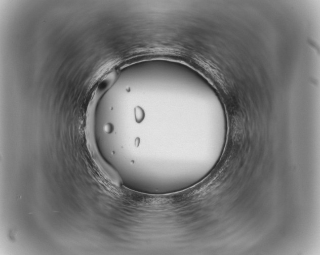 X0000098101163200804181417