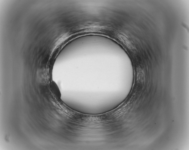 X0000098101164200804181417