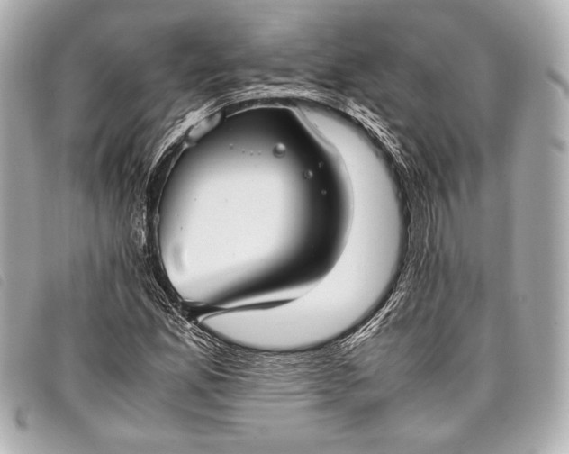 X0000098101165200804181417