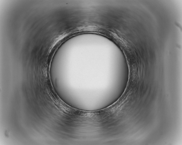 X0000098101166200804181417
