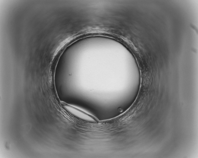 X0000098101167200804181417