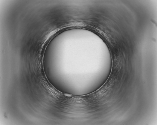 X0000098101168200804181417