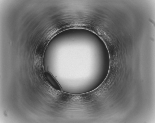 X0000098101169200804181416
