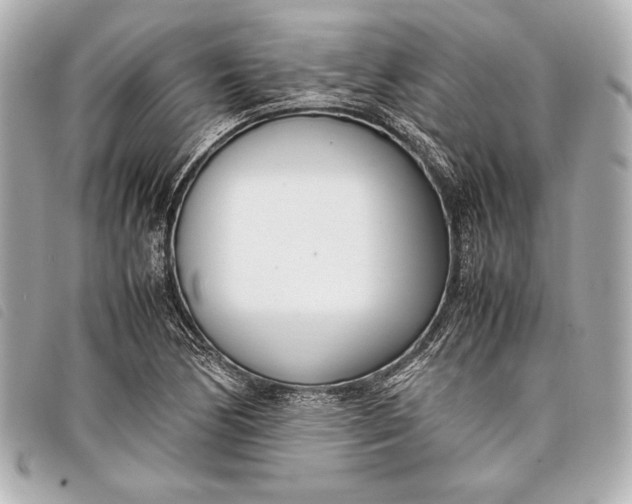 X0000098101170200804181416