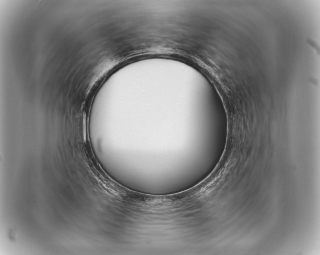 X0000098101171200804181416