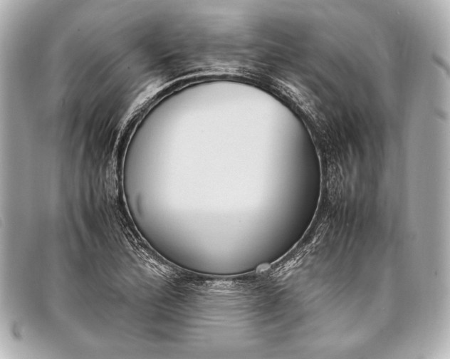 X0000098101172200804181416