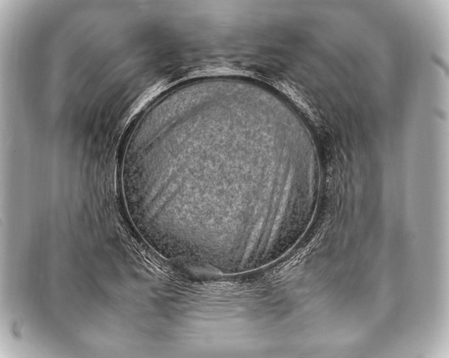 X0000098101173200804181416