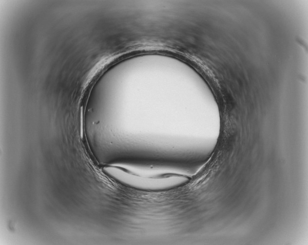 X0000098101175200804181416