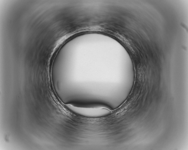 X0000098101176200804181416
