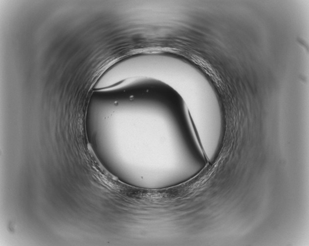X0000098101177200804181416