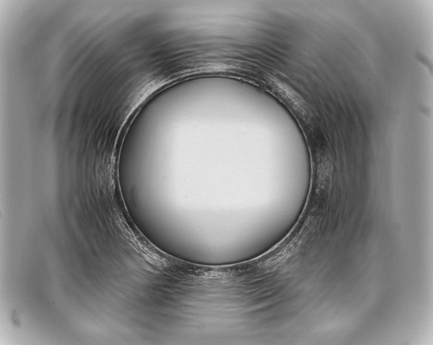 X0000098101178200804181416