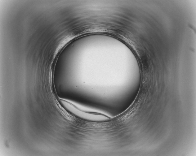 X0000098101179200804181416