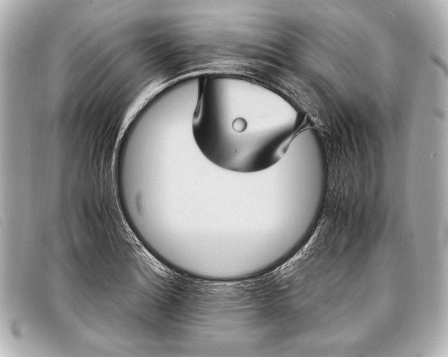 X0000098101180200804181416