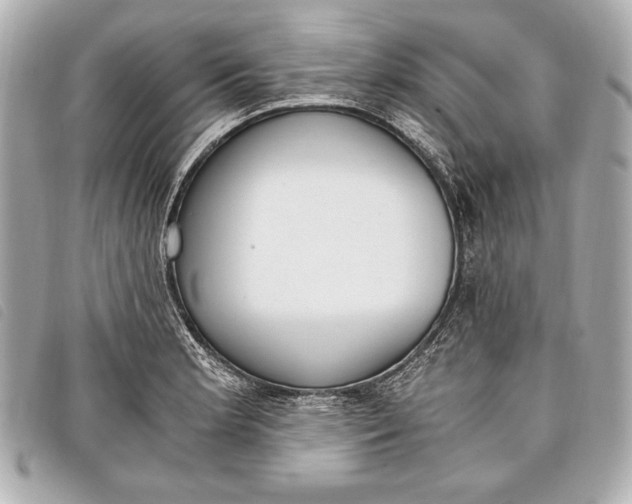 X0000098101181200804181416