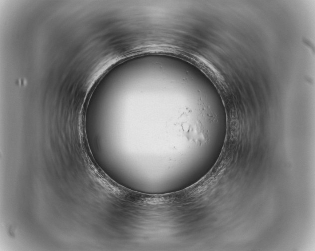 X0000098101182200804181416