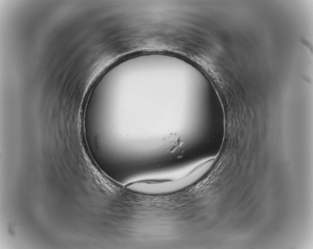 X0000098101183200804181416