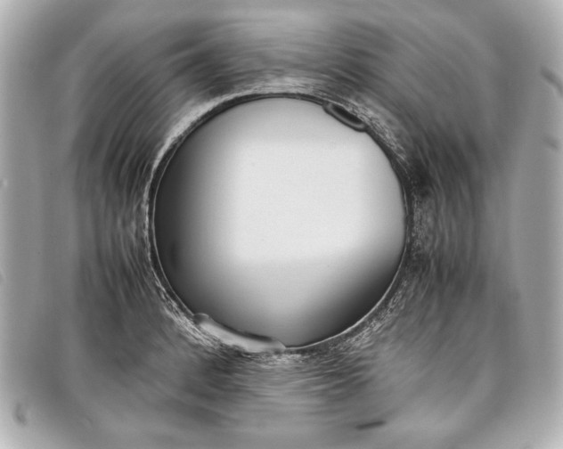 X0000098101184200804181416